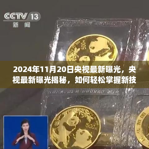 央視揭秘，初學(xué)者與進(jìn)階用戶(hù)指南——輕松掌握新技能（2024年11月版曝光）