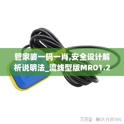 管家婆一碼一肖,安全設(shè)計(jì)解析說明法_流線型版MRO1.25
