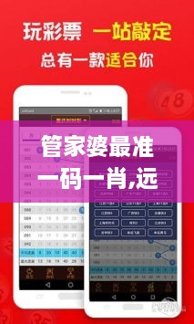 管家婆最準(zhǔn)一碼一肖,遠(yuǎn)程解答解釋落實(shí)_設(shè)計(jì)師版USH1.60