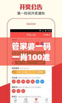 管家婆一碼一肖100準,直觀解答方案解析解釋_精密版SSZ8.12