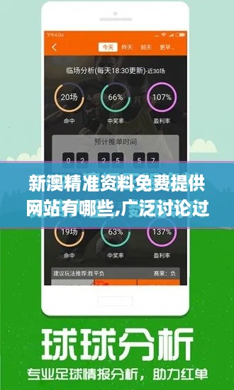 新澳精準(zhǔn)資料免費(fèi)提供網(wǎng)站有哪些,廣泛討論過(guò)程方案_線上版FUM2.44