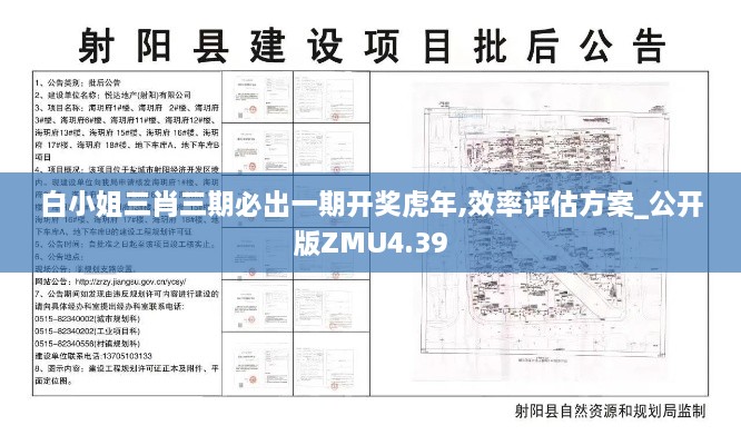 白小姐三肖三期必出一期開獎虎年,效率評估方案_公開版ZMU4.39