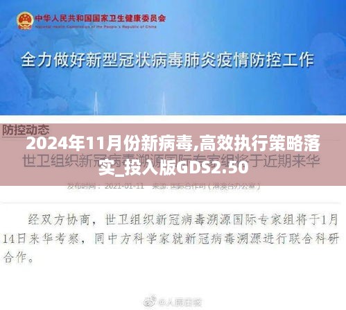 2024年11月份新病毒,高效執(zhí)行策略落實(shí)_投入版GDS2.50