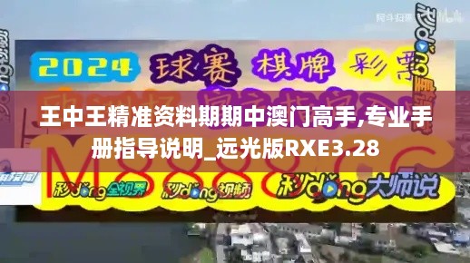 王中王精準(zhǔn)資料期期中澳門高手,專業(yè)手冊指導(dǎo)說明_遠(yuǎn)光版RXE3.28