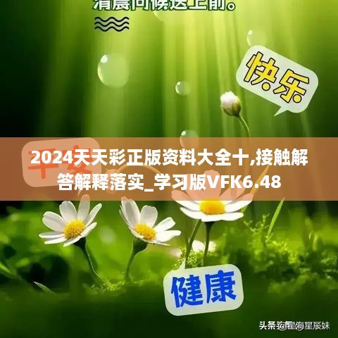 2024天天彩正版資料大全十,接觸解答解釋落實(shí)_學(xué)習(xí)版VFK6.48