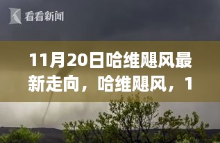 2024年11月 第859頁
