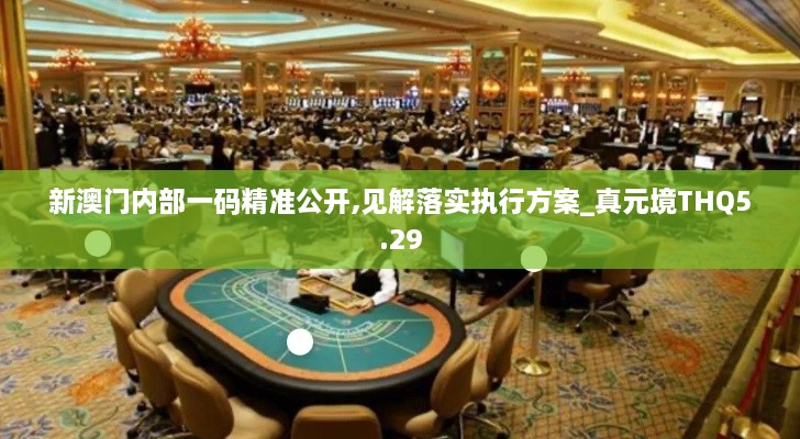 新澳門內(nèi)部一碼精準(zhǔn)公開,見解落實執(zhí)行方案_真元境THQ5.29