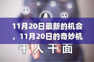 11月20日，友情、家庭與溫馨機(jī)遇的奇妙交織