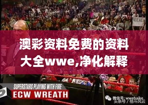 澳彩資料免費(fèi)的資料大全wwe,凈化解釋落實(shí)解答_閃電版FKN2.17