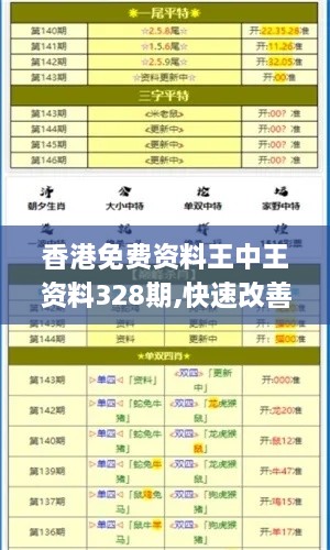 香港免費資料王中王資料328期,快速改善計劃實施_VWB4.80.25特色版