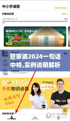 管家婆2024一句話中特,實例說明解析_靈動版ADF5.48
