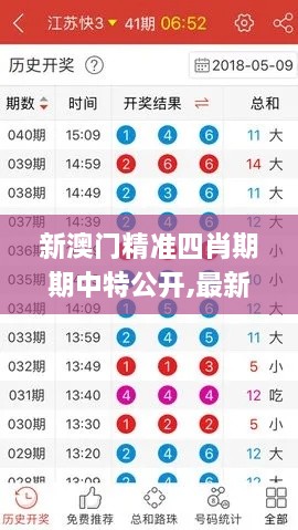 新澳門精準四肖期期中特公開,最新核心解答落實_語音版QBD3.51