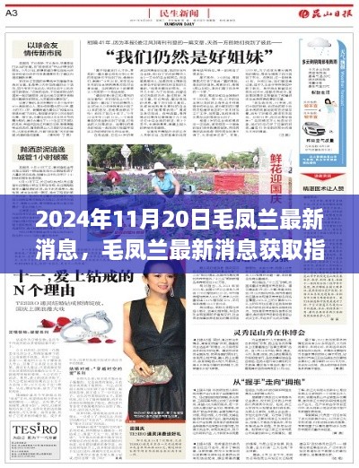 2024年11月20日毛鳳蘭最新消息，毛鳳蘭最新消息獲取指南（初學(xué)者與進(jìn)階用戶適用）