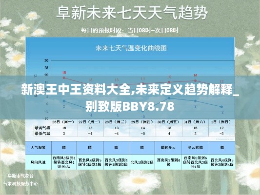 新澳王中王資料大全,未來(lái)定義趨勢(shì)解釋_別致版BBY8.78