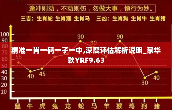 精準一肖一碼一子一中,深度評估解析說明_豪華款YRF9.63