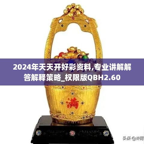 2024年天天開好彩資料,專業(yè)講解解答解釋策略_權(quán)限版QBH2.60