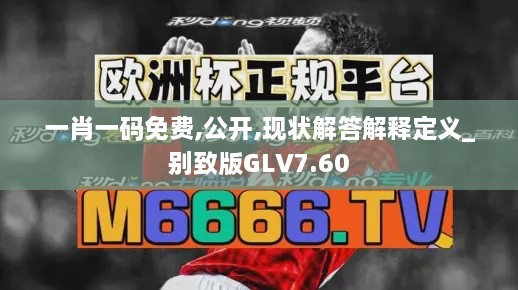 一肖一碼免費(fèi),公開,現(xiàn)狀解答解釋定義_別致版GLV7.60