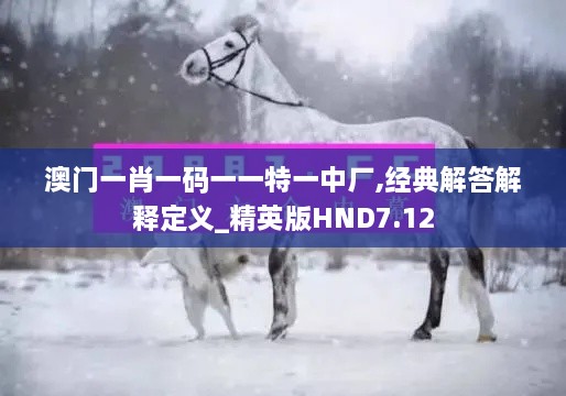澳門一肖一碼一一特一中廠,經(jīng)典解答解釋定義_精英版HND7.12