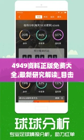 4949資料正版免費大全,最新研究解讀_目擊版COO1.15