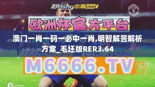 澳門一肖一碼一必中一肖,明智解答解析方案_毛坯版RER3.64