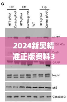 2024新奧精準(zhǔn)正版資料326期,精密解讀解析_TTF9.33.21修改版