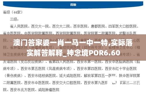 澳門答家婆一肖一馬一中一特,實(shí)際落實(shí)解答解釋_神念境POR6.60