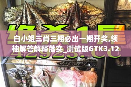 白小姐三肖三期必出一期開獎,領(lǐng)袖解答解釋落實_測試版GTK3.12