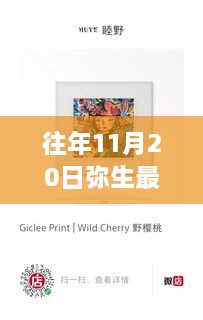 「往年11月20日彌生最新作品獲取與學(xué)習(xí)指南」