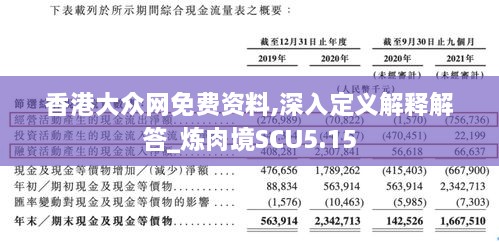 香港大眾網免費資料,深入定義解釋解答_煉肉境SCU5.15