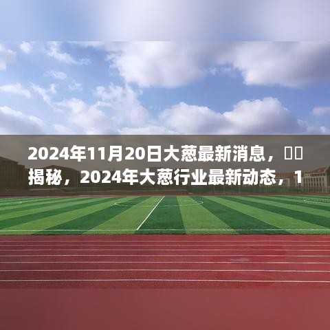 獨(dú)家解析，揭秘2024年大蔥行業(yè)最新動(dòng)態(tài)與獨(dú)家消息