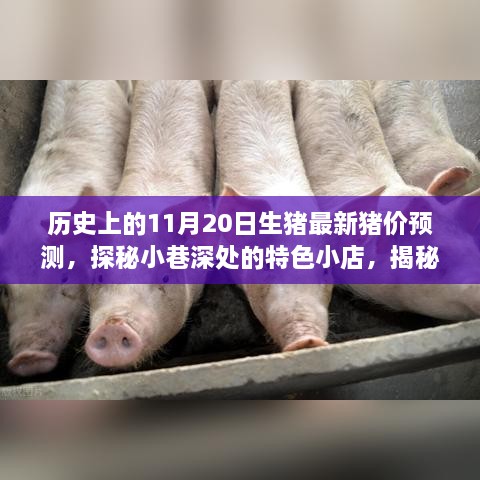 揭秘歷史最新豬價預(yù)測與小巷深處特色小店的探秘之旅