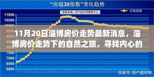 2024年11月 第801頁