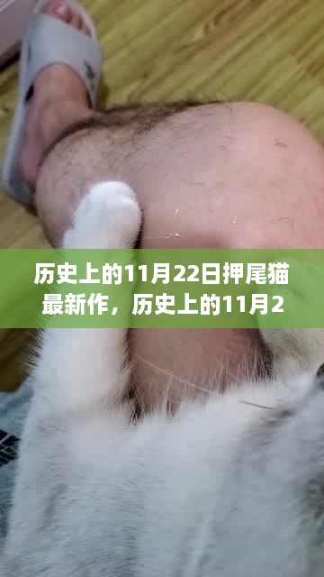 2024年11月 第796頁