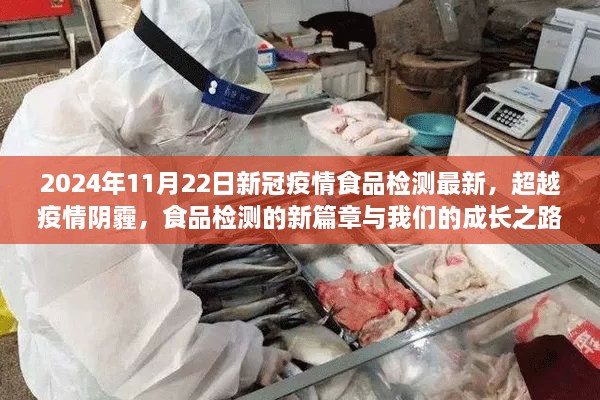 2024年11月22日新冠疫情食品檢測(cè)最新，超越疫情陰霾，食品檢測(cè)的新篇章與我們的成長(zhǎng)之路