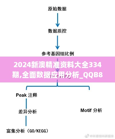 2024新澳精準資料大全334期,全面數(shù)據(jù)應(yīng)用分析_QQB8.12.33內(nèi)容版