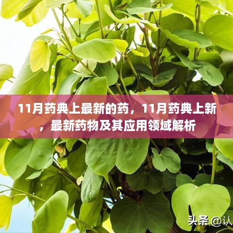 2024年11月 第789頁(yè)