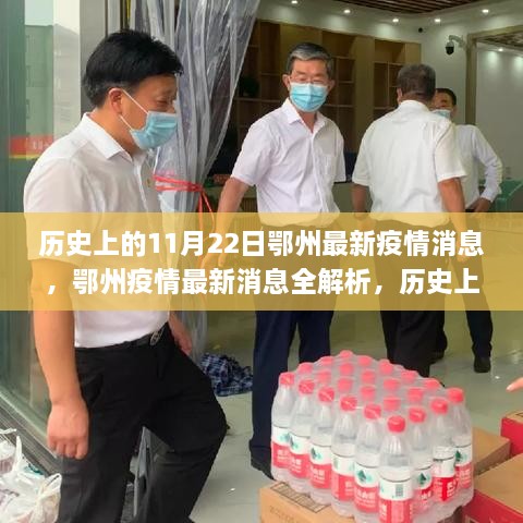 歷史上的11月22日鄂州疫情最新消息全解析與應對指南