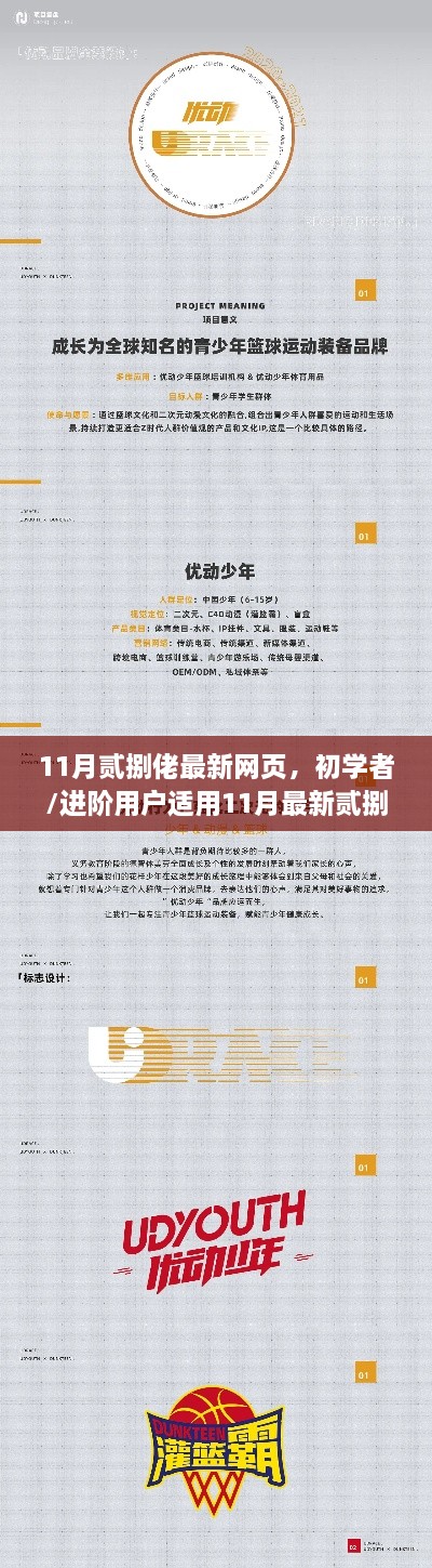 11月最新貳捌網(wǎng)頁(yè)探索與操作指南，適合初學(xué)者與進(jìn)階用戶的實(shí)用指南