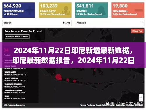 2024年11月22日印尼最新數(shù)據(jù)報(bào)告，新里程碑達(dá)成