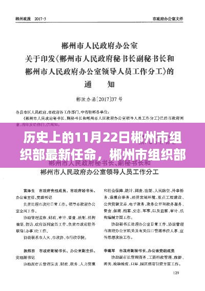 歷史視角下的郴州市組織部新任命的深度解讀