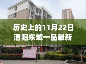 泗陽(yáng)東城一品，歷史、11月22日與最新圖片展示攻略
