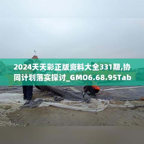 2024天天彩正版資料大全331期,協(xié)同計劃落實探討_GMO6.68.95Tablet