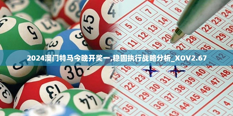 2024澳門特馬今晚開獎(jiǎng)一,穩(wěn)固執(zhí)行戰(zhàn)略分析_XOV2.67