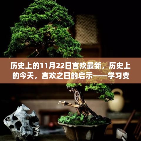 2024年11月 第773頁