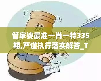 管家婆最準一肖一特335期,嚴謹執(zhí)行落實解答_TIC4.55.57習慣版