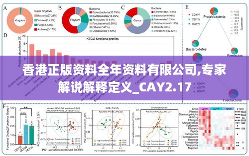 香港正版資料全年資料有限公司,專家解說解釋定義_CAY2.17