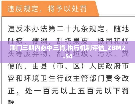 澳門三期內(nèi)必中三肖,執(zhí)行機制評估_ZBM2.54