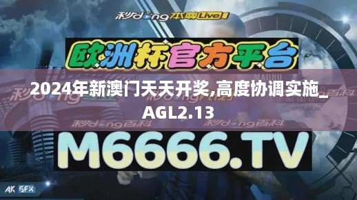 2024年新澳門天天開獎,高度協(xié)調實施_AGL2.13