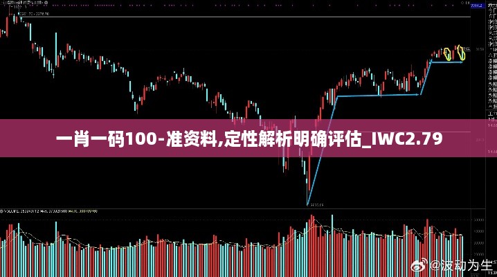 一肖一碼100-準(zhǔn)資料,定性解析明確評(píng)估_IWC2.79