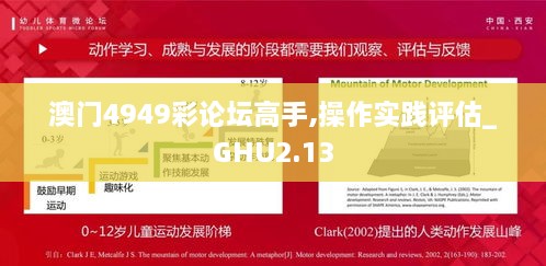 澳門4949彩論壇高手,操作實踐評估_GHU2.13
